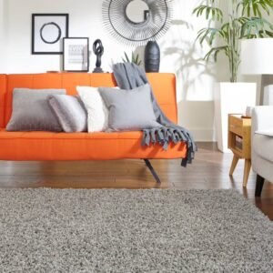 Detail image of  6' x 9' Solid Shag Rug