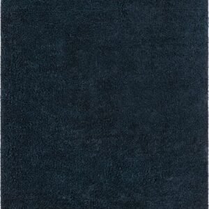 Primary image of  10' x 13' Everyday Shag Rug